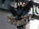 Split Crow