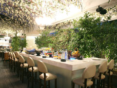 Villa Mercedes
